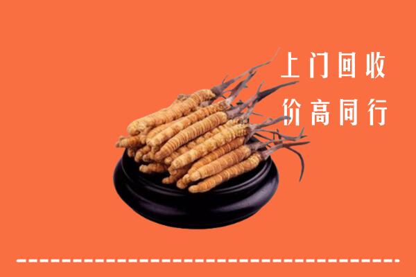 高价求购：乌兰县回收散虫草