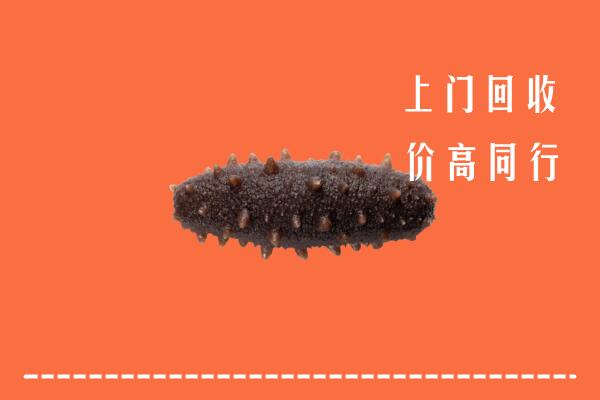 高价求购：乌兰县回收海参