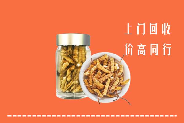 乌兰县回收冬虫夏草